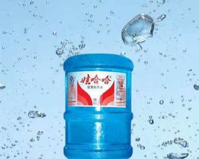 西青大寺水站 为生活注入健康活力的桶装水专家