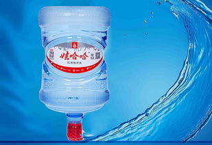 东西湖鑫城宜居桶装水专业配送服务